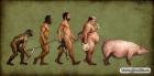 Evolutia barbatilor